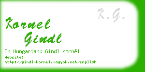 kornel gindl business card